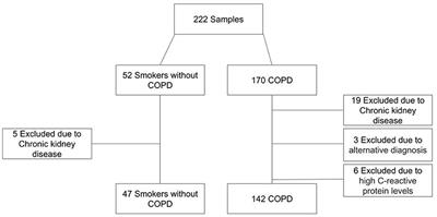 Circulating levels of mitochondrial oxidative stress-related peptides MOTS-c and Romo1 in stable COPD: A cross-sectional study